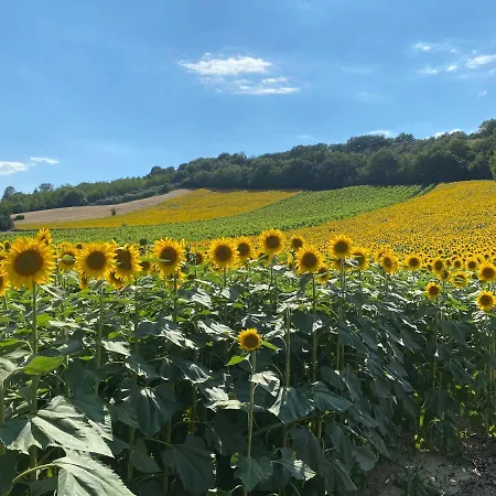 אוהל מפואר Agriturismo & Camping Sopra E Sotto